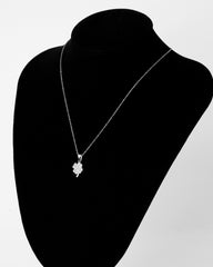 DETELINA SA CIRKONIMA I LANČIĆ