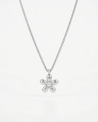 CVET SA CIRKONOM I LANAC