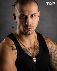 ZLATNI GRB SRBIJE I PANCIR LANAC