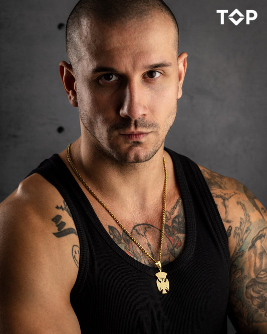 ZLATNI GRB SRBIJE I PANCIR LANAC